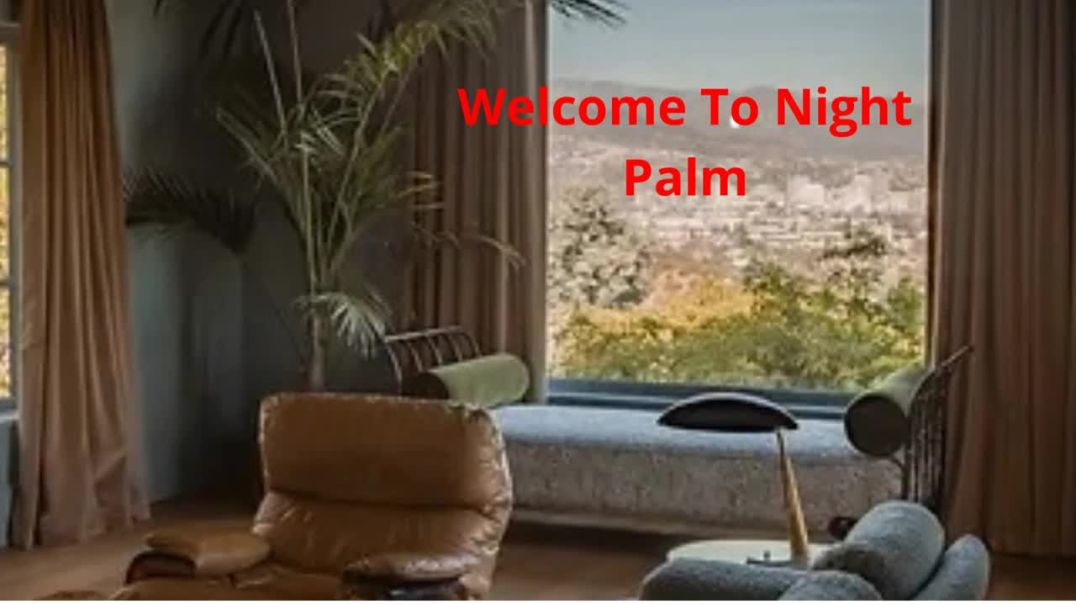 ⁣Night Palm : Home Designers in Los Angeles, CA
