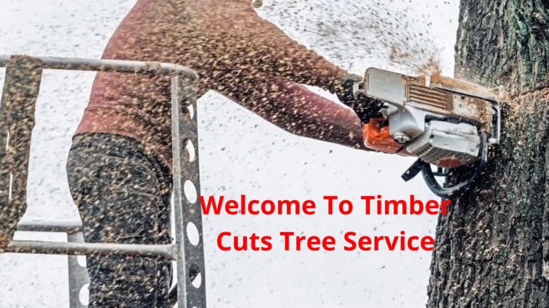 ⁣Timber Cuts Tree Service Removal in Kaysville, UT