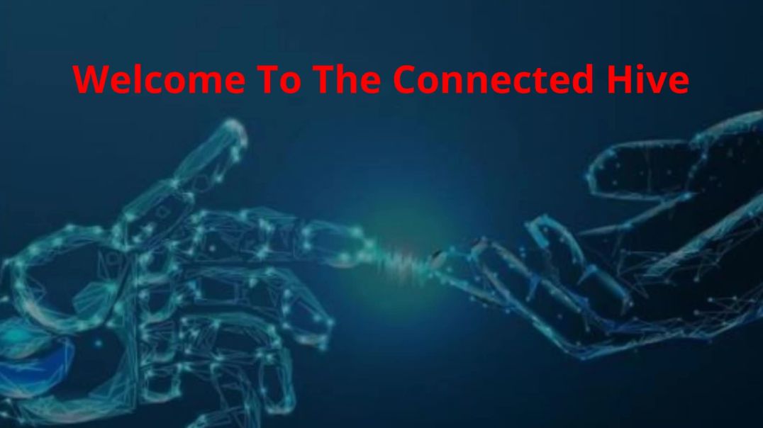 The Connected Hive : Best Customer Service Outsourcing in Minneapolis, MN | 55435