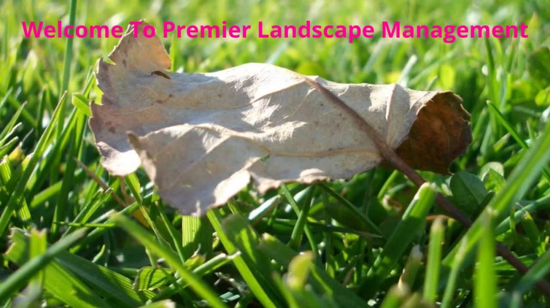 ⁣Premier Landscape Management - Best Sprinkler System Installation in Sanford, FL