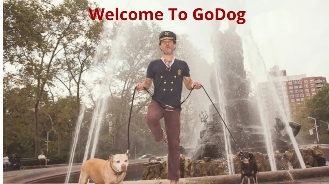 ⁣GoDog - Best Dog Walking Company in Brooklyn, NY